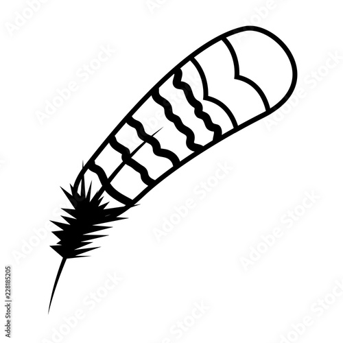 feather bird on white background