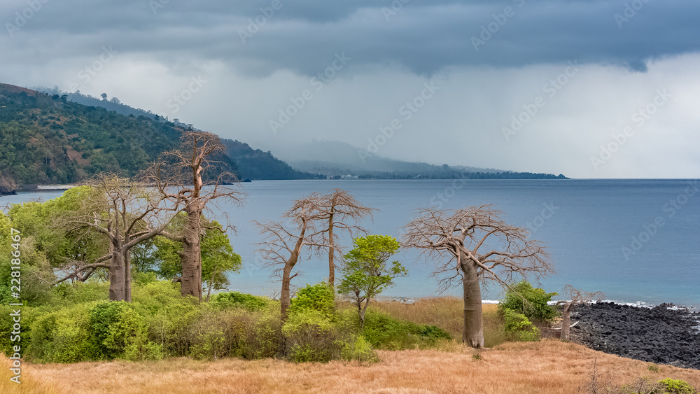 Sao Tome and Principe, Lagoa Azul on Sao Tome island, beautiful landscape with baobab trees 
