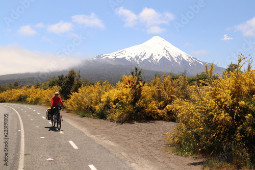 woman riding bicycle 