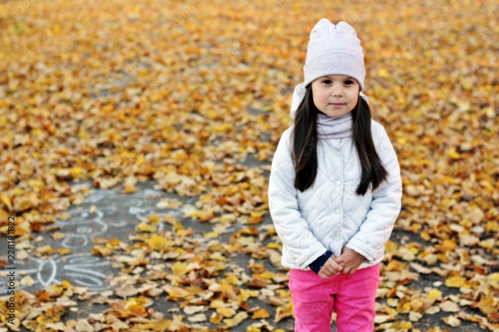 little girl in autumn park little girl in autumn park