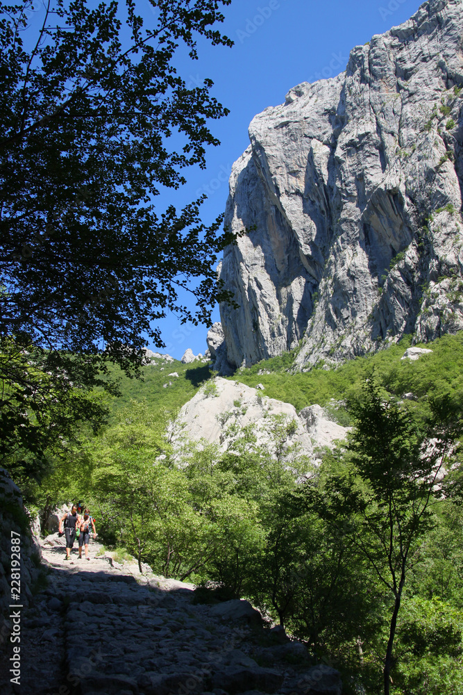 Canyon of Velika Paklenica, Velebit mountains, Dalmatia, Croatia
