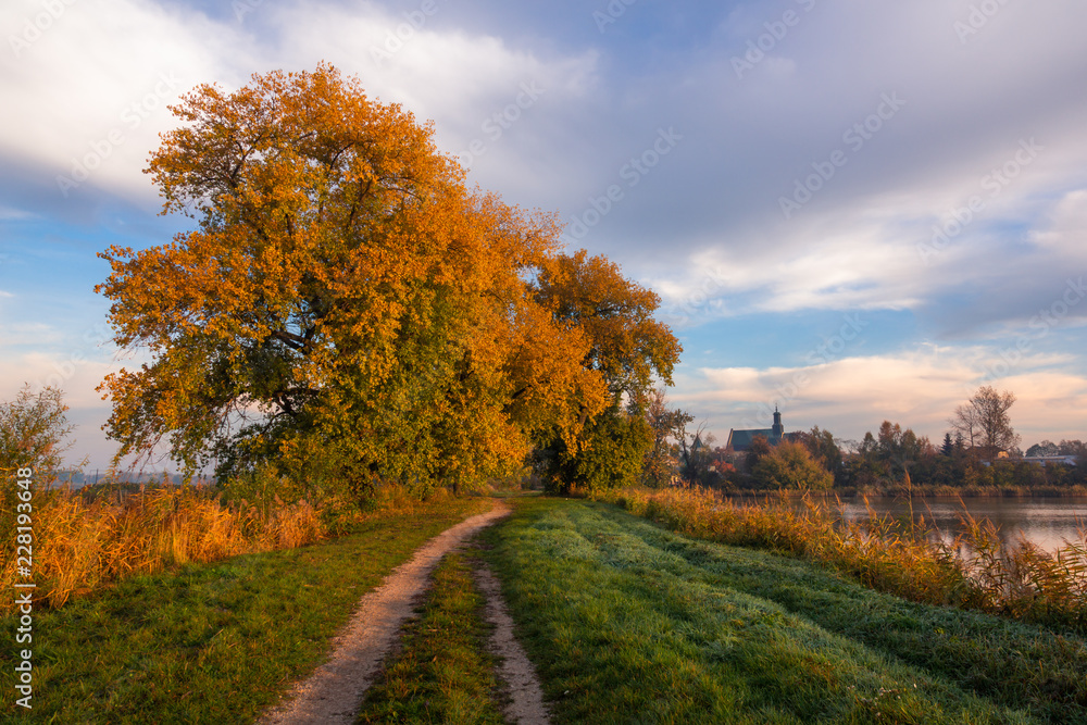 Park at autumn in Falenty near Raszyn, Masovia, Poland