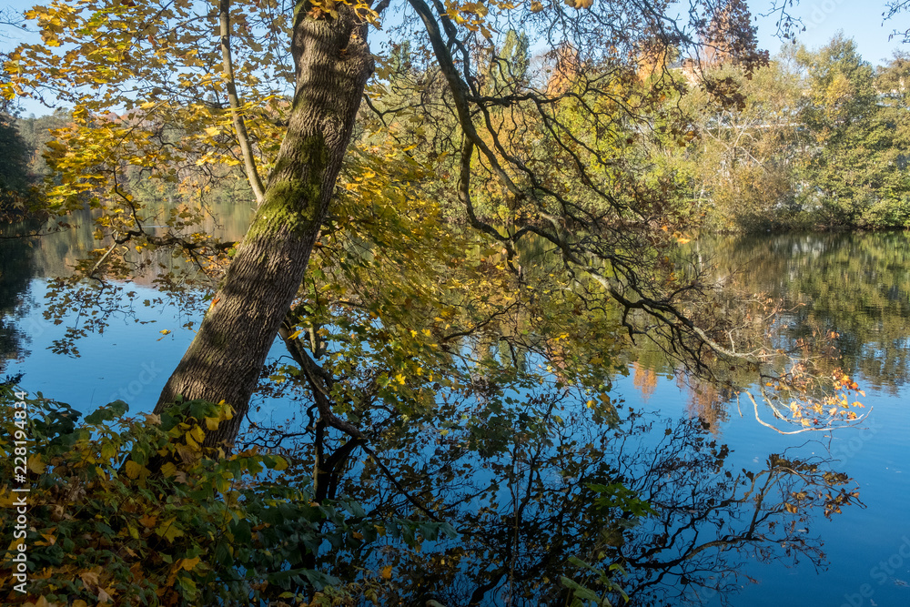 Fototapeta premium Sunny day in October 2018 at city park Abackarna along Motala river in Norrkoping, Sweden.
