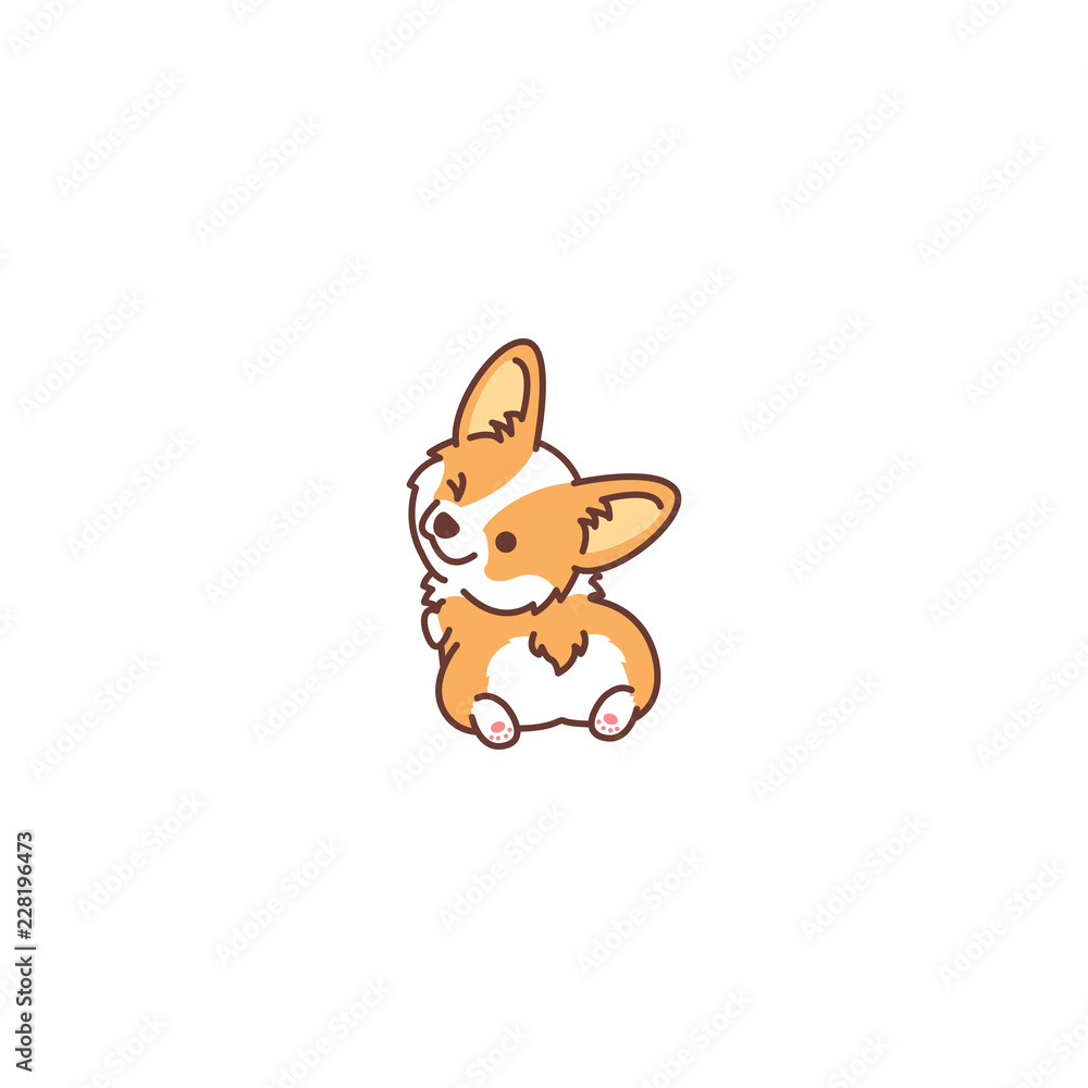 Cute corgi dog looking back and winking, vector illustration Stock ...