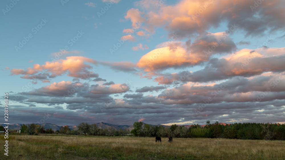 Sunset near Book Cliffs, Grand Junction, Colorado with horses in pasture.