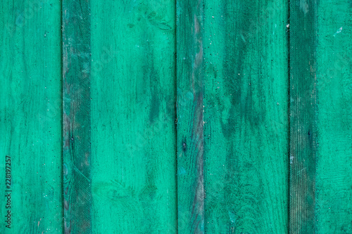 Grüne Holzwand mit Spinnweben