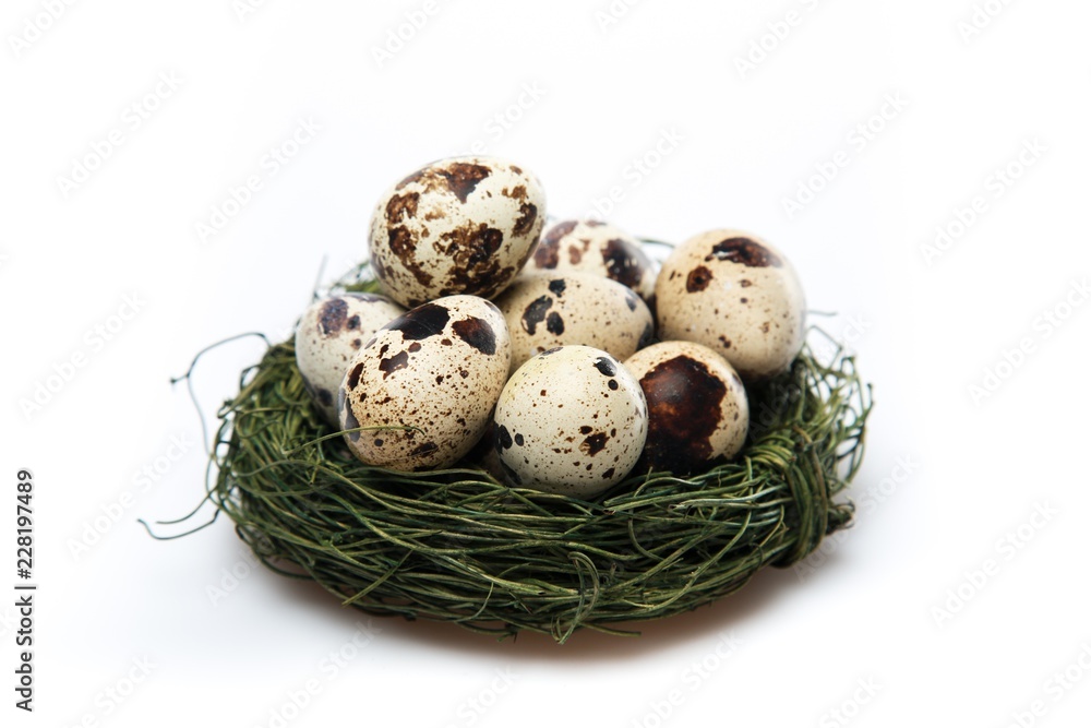 Quail Eggs In Bird Nest Quail Eggs In Bird Nest