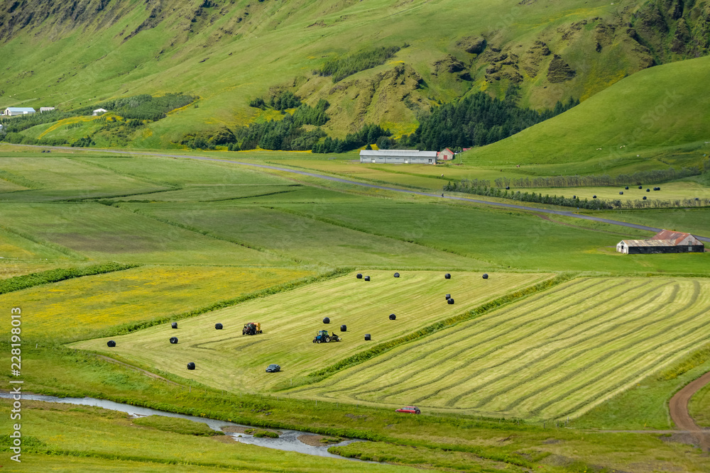 Green valley near Vik, Iceland on overcast summer day,  beautiful farm scenery