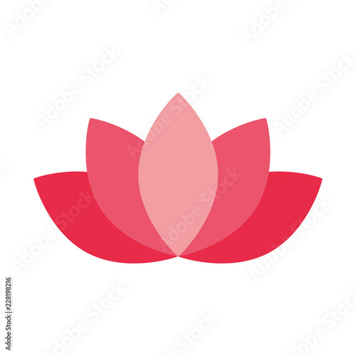lotus flower decoration on white background