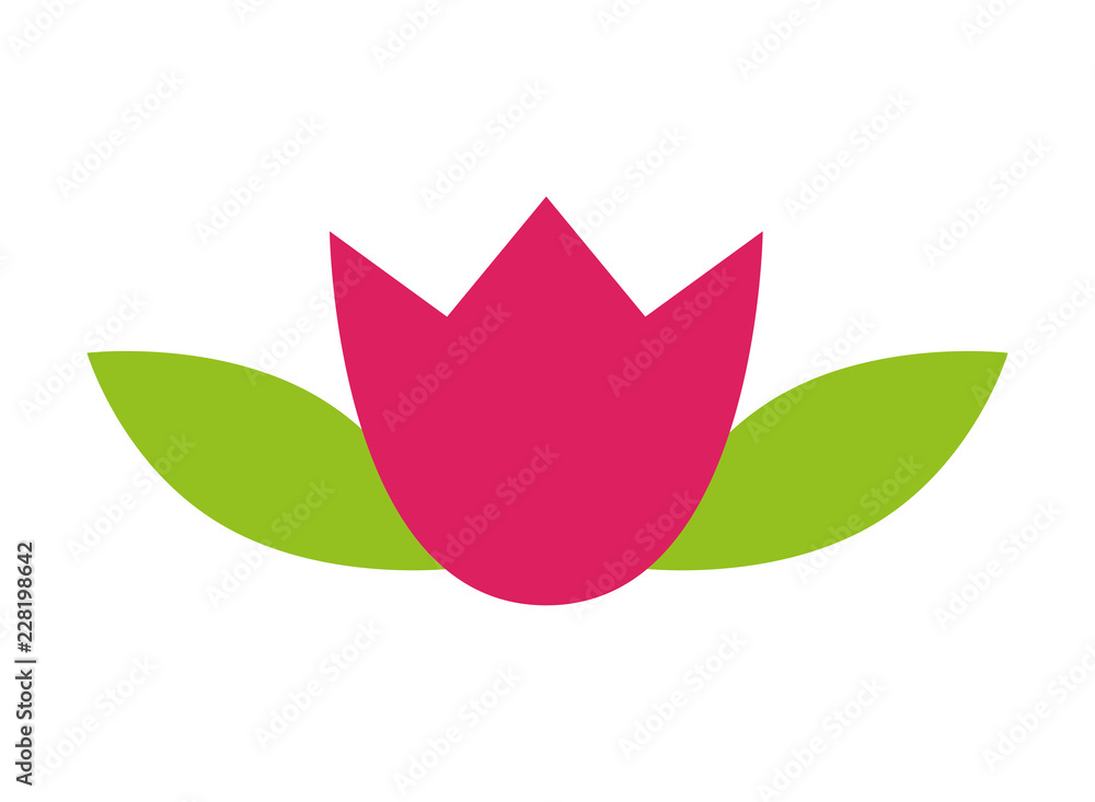 lotus flower decoration on white background lotus flower decoration on white background