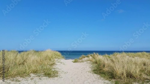 Liseleje Beach by the Tisvilde forest and coastal area on the Danish island of Zealand. A pristine spring morning with a sunny clear blue sky. Sand dunes with reeds. A sandy pathway to the ocean. photo