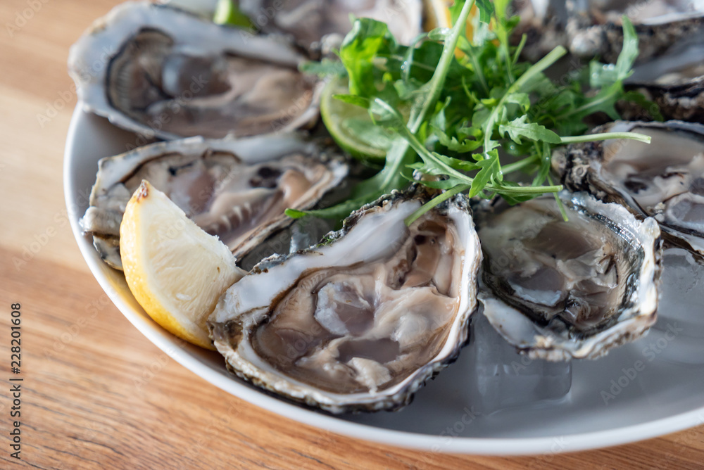 oysters on the ice oysters on the ice
