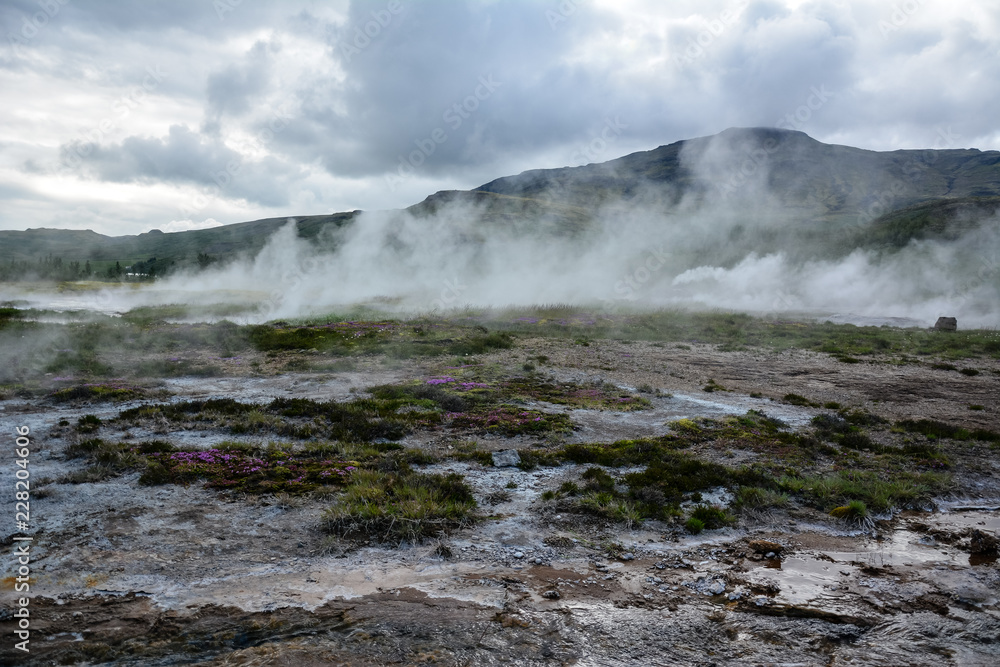 Geyser Park in Iceland, hot steam coming from the ground Geyser Park in Iceland, hot steam coming from the ground