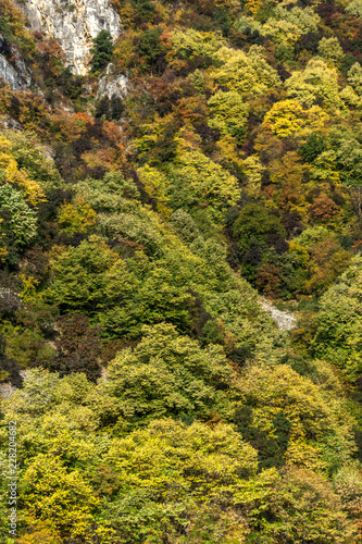 Amazing Autumn ladscape with forest around Krichim Reservoir, Rhodopes Mountain, Bulgaria