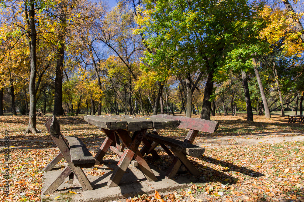 Colorful autumn park with wooden tables and bench