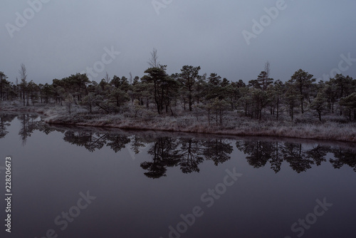 Bog with small pine trees covered in early winter morning frost reflecting in pond. Kemeri national park at sunrise, Latvia. Retro effect with some grain. © janaland