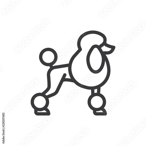 Poodle vector icon