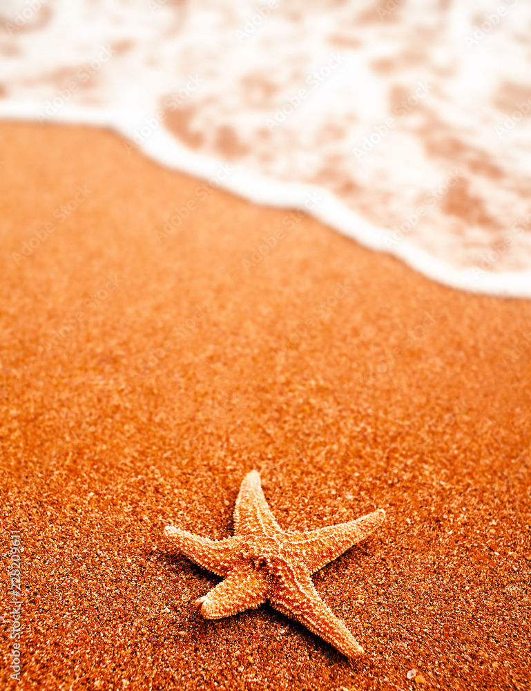 Seastar on the sand of the beach and coming wave a lot of copyspace, nobody around, travel or holiday concept