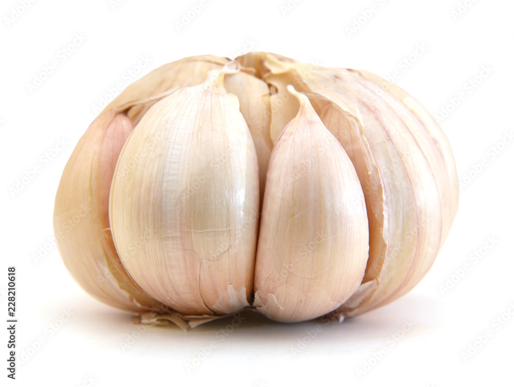 Obraz premium fresh garlic on white background