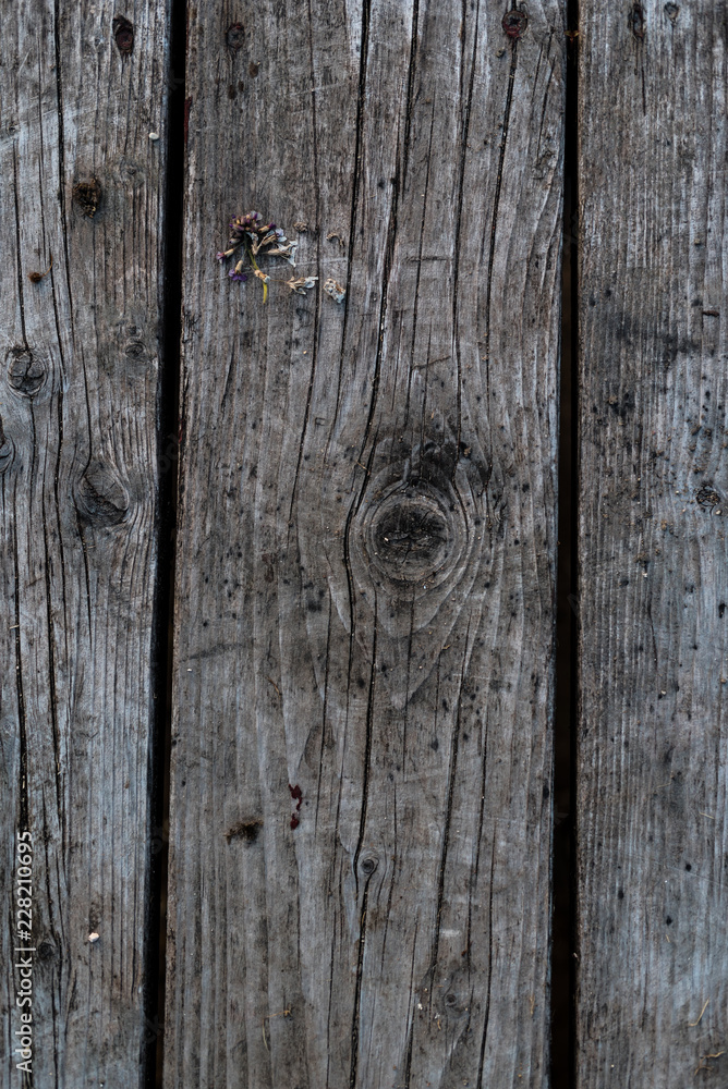 Old wooden floor with small dry flower on it. Old wooden floor with small dry flower on it.