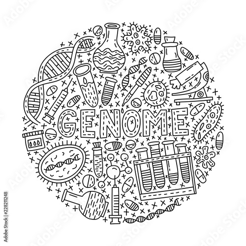 Genome. Circle doodle Illustration