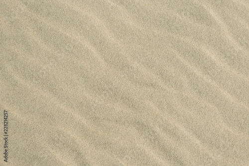 Sandy beach vacation / Textured sand pattern background