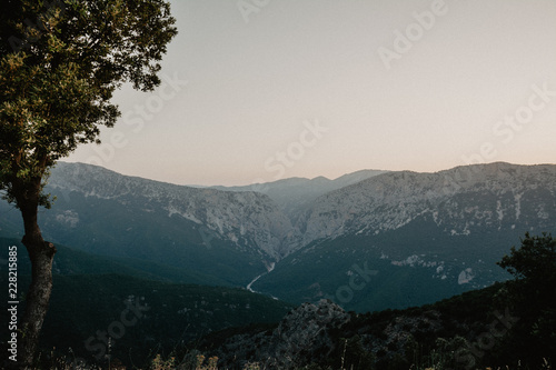 Panoramic Mountain Landscape view at dusk, with layered mountains and one tree in foreground, Sardinia, Orosei region. Vintage Film effect with grain.