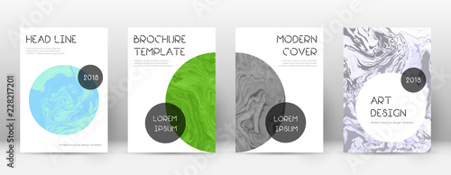 Abstract cover. Immaculate design template. Suminagashi marble trendy poster. Immaculate trendy abst