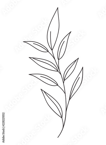 Fototapeta Naklejka Na Ścianę i Meble -  beautiful leaf plant icon