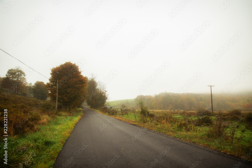 Foggy country road