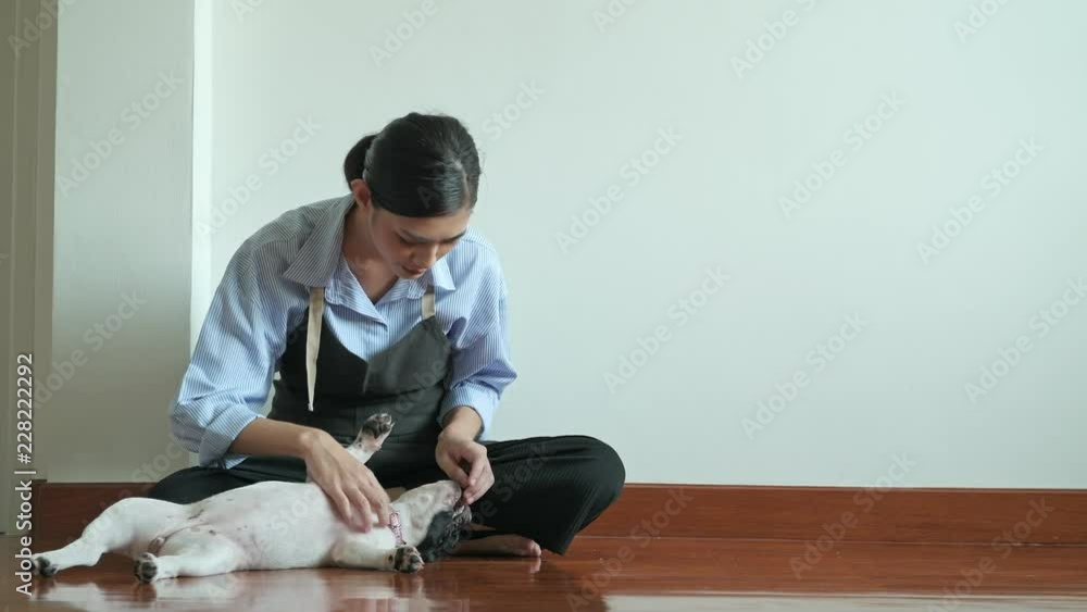 Housewife resting and playing with her dog. Beautiful Asian woman sitting on floor playing with her dog. Low angle shot. House cleaning service concept. Housewife resting and playing with her dog. Beautiful Asian woman sitting on floor playing with her dog. Low angle shot. House cleaning service concept.