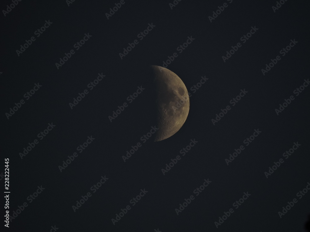 Moon Moon