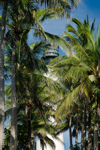 The Cape Florida lighthouse as seen through the many tropical palm trees located there