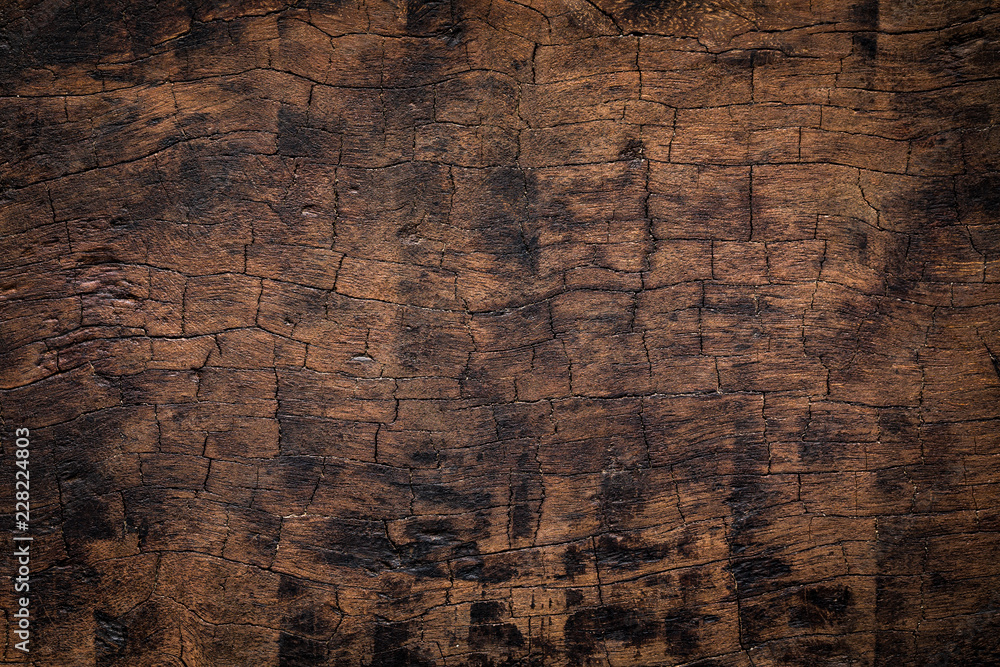 Naklejka premium Old wood plank texture background. Natural weathered texture of wooden boards.