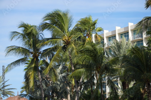 beaches water rocks lighthouse palm trees islands ropes 