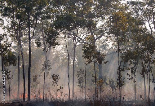 Bushfire in Kakadu National Park, Northern Territory