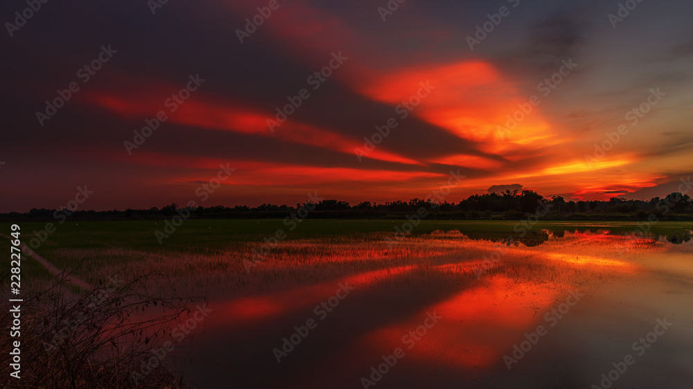 Obraz premium Sunrise in the farm