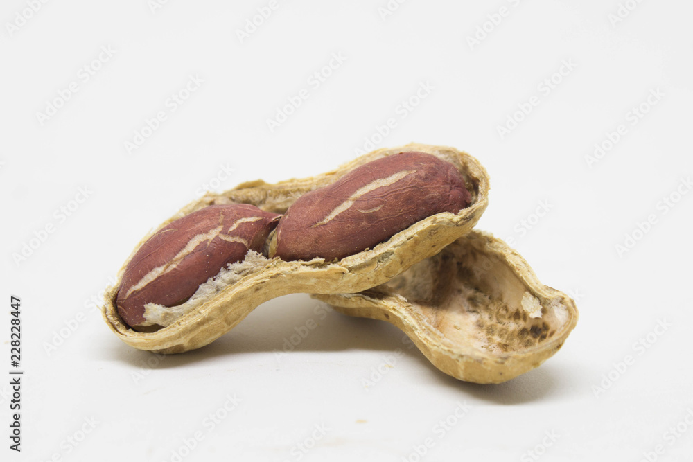 peanuts on a white background peanuts on a white background