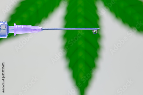 A droplet of vaccine at the tip of the needle and syringe reflecting the marijuana leaf photo