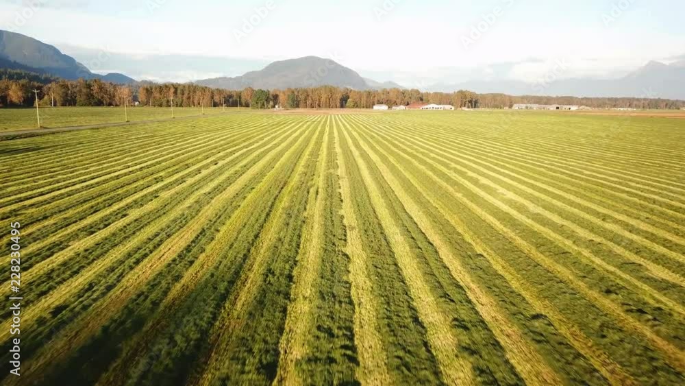 Farmlands of grass in the fertile valleys use mechanical tractors to