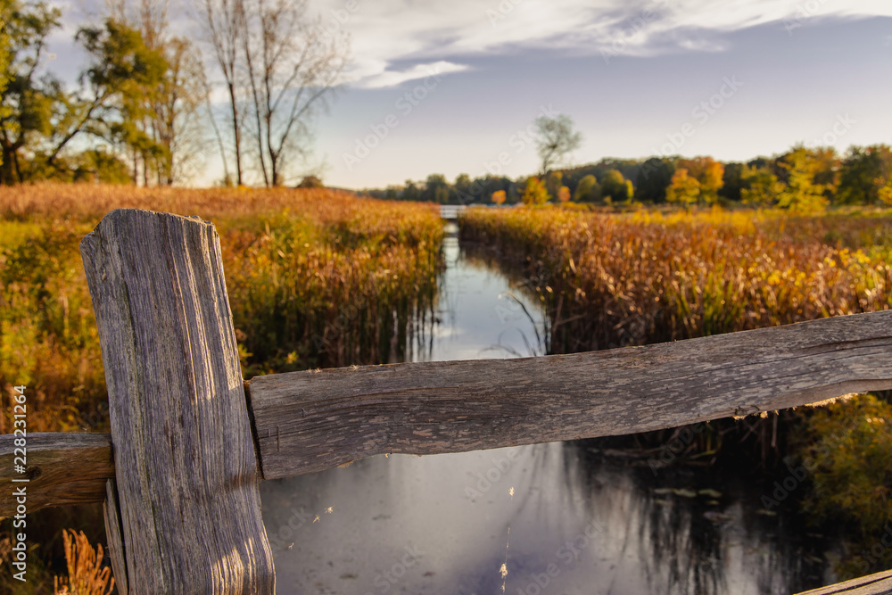 Fall Stream In Michigan