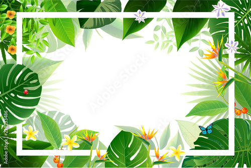 Exotic tropical leaf background in greeting template