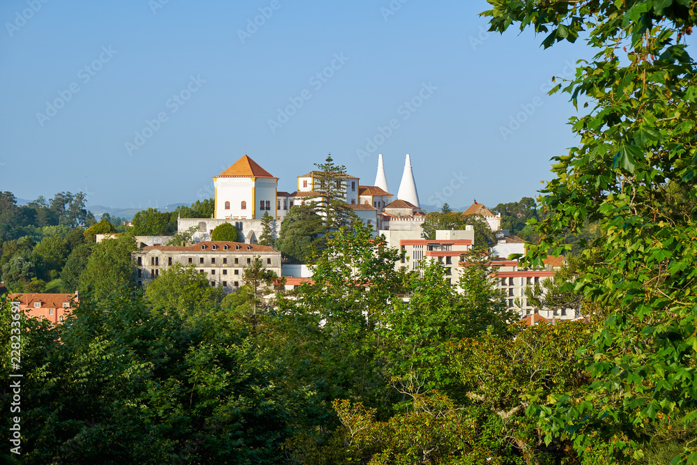 The Palace of Sintra as seen from the Quinta da Regaleira palace. Sintra. Portugal