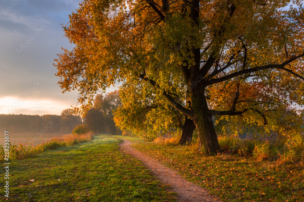 Park at autumn in Falenty near Raszyn, Masovia, Poland