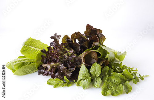 Salad greens, herbs. Healthy eating.
