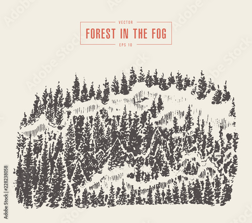 Misty fog pine forest mountain vector drawn sketch