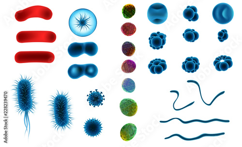 vector background of viruses and bacteria for medicine