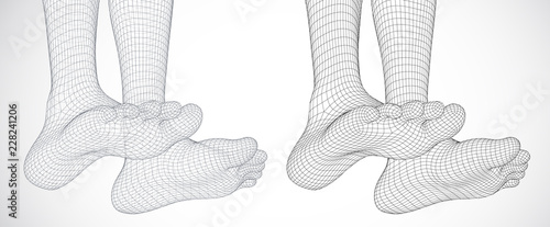 three-dimensional female feet. vector template.