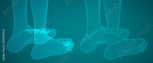 three-dimensional female feet. vector template.