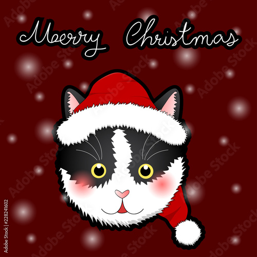 Black White Cat Santa Claus...